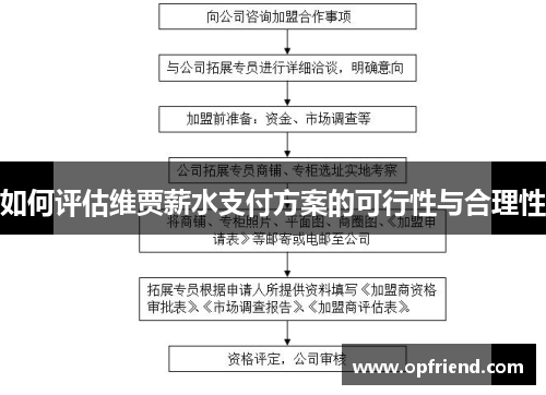 如何评估维贾薪水支付方案的可行性与合理性