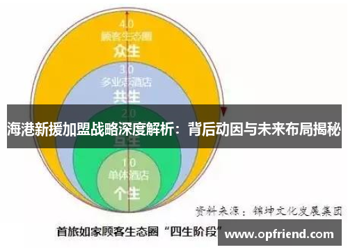 海港新援加盟战略深度解析：背后动因与未来布局揭秘