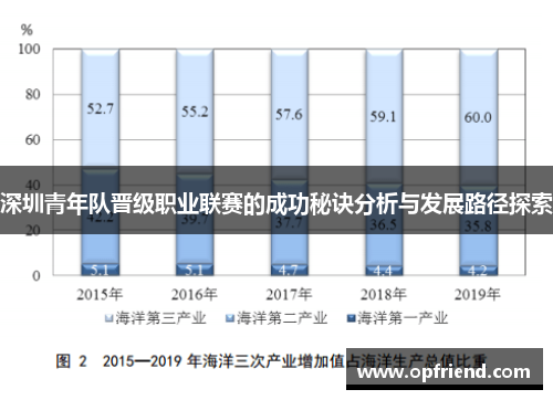 深圳青年队晋级职业联赛的成功秘诀分析与发展路径探索